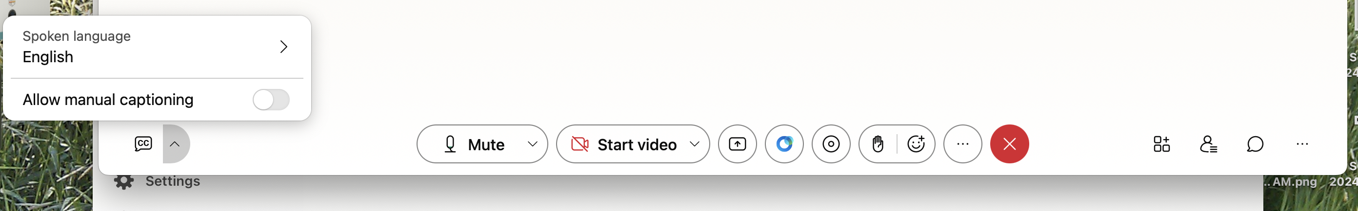 Allow Manual Captioning.png
